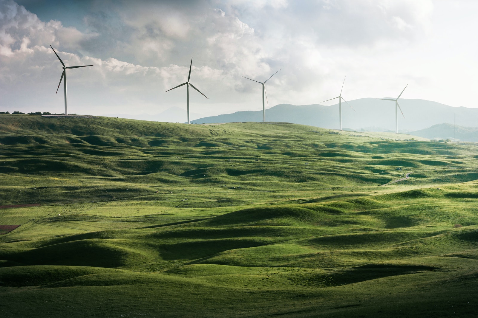 Sustainable Insurance